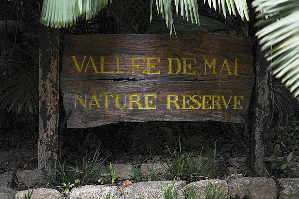 Vallée de Mai Nature Reserve