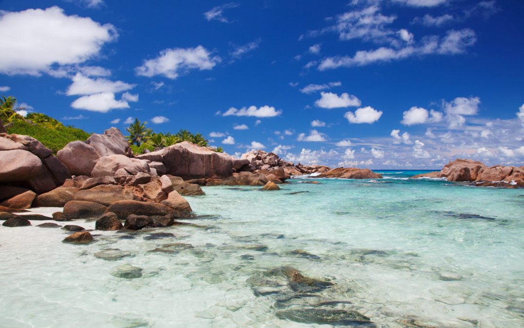 Anse Cocos Beach Seychelles